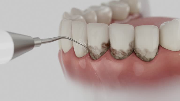 Reliable Dental contractor in Winston, OR by Dentist Open Now